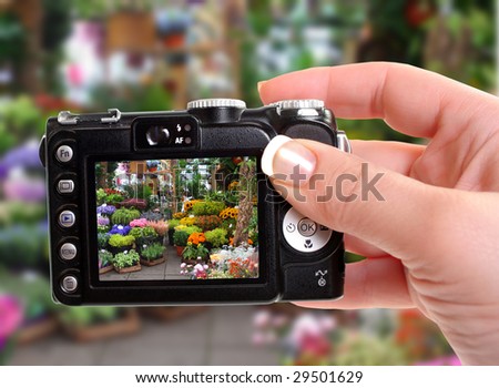 Taking a photographo of a variety of flowers at a flower market in Amsterdam, Holland