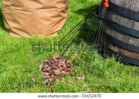 Freshly raked backyard, with rake, leaves and recycling yard waste paper bag