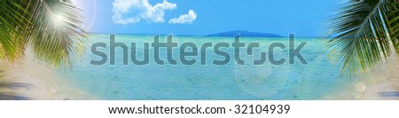 palm tree along the beach of beautiful tropical water and sky great for a  backdrop or banner with copy space