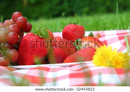 Looking through blades of grass at a red checkered picnic blanket with ripe large strawberries and grapes beside dandelions on grass background (shallow depth of field)