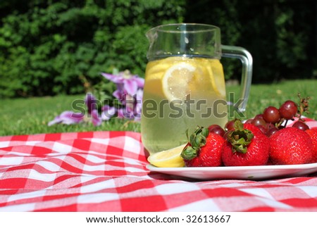 Pitcher of lemonade in jar with lemons, ice, on picnic blanket  trees in the background (focus on strawberries)