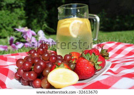 Pitcher of lemonade in jar with lemons, ice, on picnic blanket  trees in the background