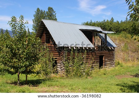 Log shed in cherry orchard  landscape of the Okanagan valley in British Columbia, Canada