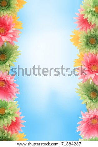 Pretty colorful gerber daisy border or  frame with spring colors on blue sky background