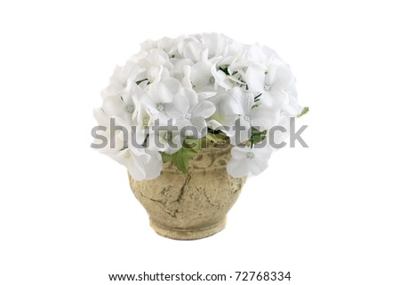 White silk flowers on a white background