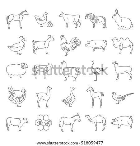 Farm animal thin line collection. Chicken, horse, cow, calf, sheep, angus, rabbit, duck, goat, pig, camel,sheep, llama, ostrich, turkey, goose isolated on white. Flat design. Vector illustration