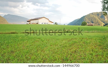Austrian landscape - mountains and grass