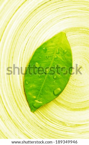 zen leaf over bamboo