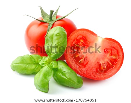 Tomatoes And Basil Leaves Isolated On White Close Up. Vegetables