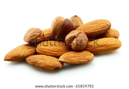 Filbert Nuts Picture