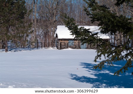 Cabin in hte Spruce trees in the winter