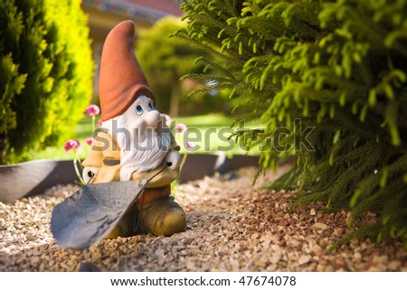 Gnome in a garden