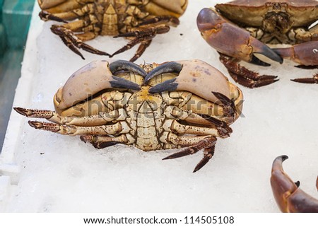 fresh crabs , fish market