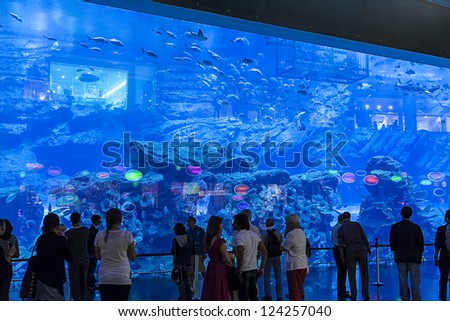 DUBAI, UAE - JAN 4: Aquarium in Dubai Mall - world\'s largest shopping mall , Downtown Burj Dubai January 4, 2013 in Dubai, United Arab Emirates