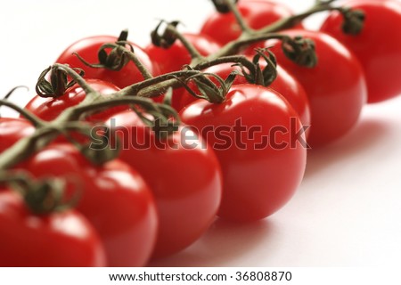 cherry tomatoes on the vine - selective focus on the protruding tomato