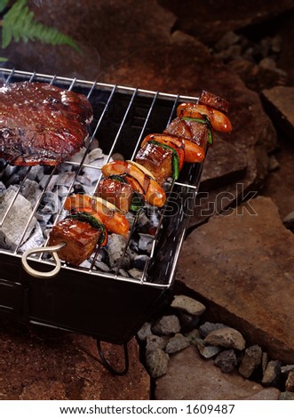 A meat skewer over a portable grill at camp