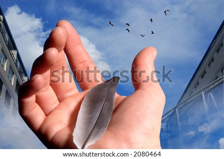Hand holding a  feather fallen from a bird flying away
