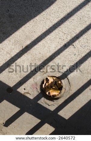 detail of dry leaves in ground drainage with grate shadow projected on it