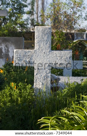 close up of a white cross and many plants around