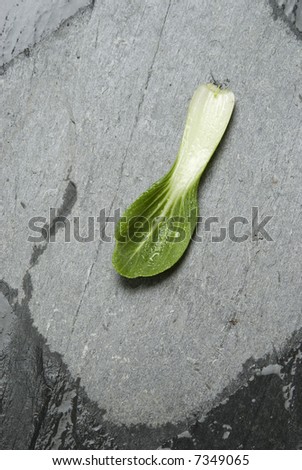 endive leaf