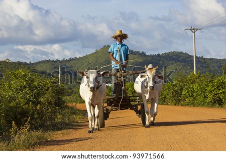 CAMBODIA - NOVEMBER 23:  Cambodia is a country in transition from a agricultural site to a tourism site. Here a young cambodian farmer is on the way to his farm on November 23, 2011 in Kampot, Cambodia