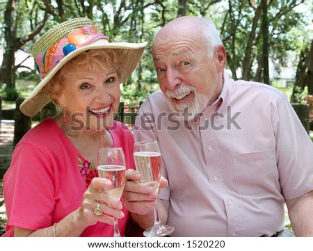 A happy senior couple on a picnic making a champagne toast.