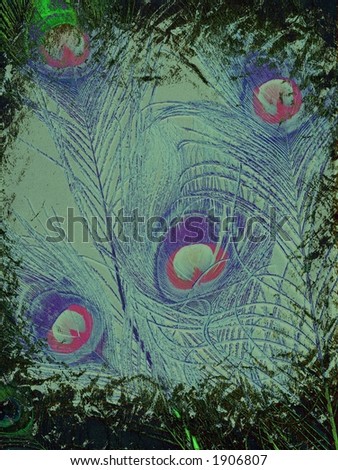 peacock feathers on grunge artistic background