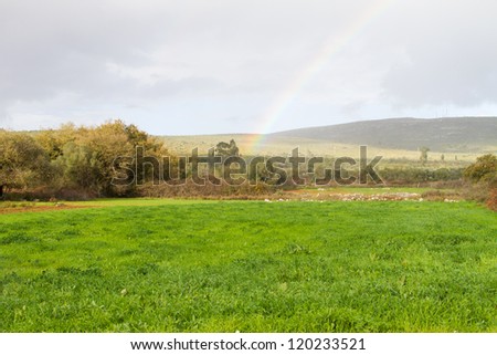 Rural garden on bottom of an hill with rainbow
