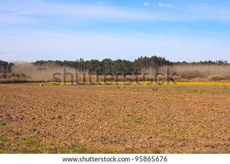 Blue sky over green plain field and forest on Portugal