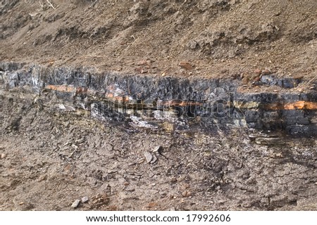Coal deposit in a clay bank.