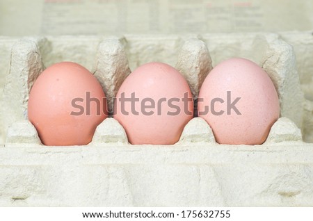 Cardboard egg box with eggs isolated with clipping path