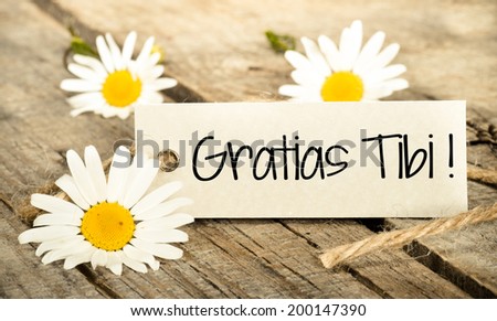 Flowers and label with lettering thanks on wooden background