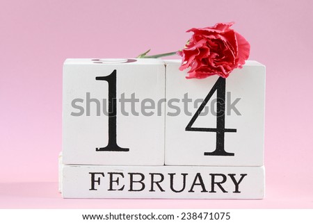 Valentine`s Day 14 february with carnation flower. 14 february background with carnation flower