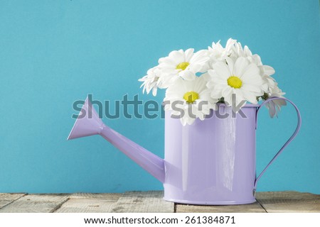 Watering can with camomiles. Watering can with camomiles flowers