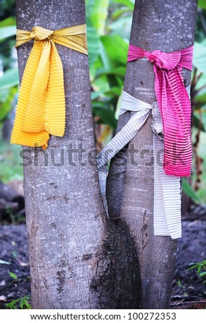 satin cloth on tree,give respect for spirit in thai tradition.