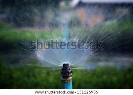 water sprayer in garden.