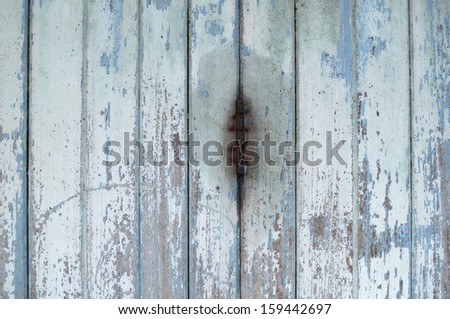 detail of grunge wooden folding door.