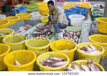 PATTANI, THAILAND - october 19: Unknown man selects a fish in a Market (pattani) in thailand. The market is one of the most important fish markets. october 19, 2013 pattani, THAILAND