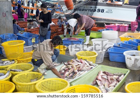 PATTANI, THAILAND - october 19: worker select a fish in a Market (pattani) in thailand. The market is one of the most important fish markets. october 19, 2013 pattani, THAILAND