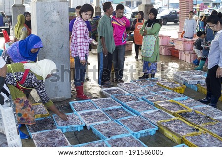 PATTANI, THAILAND -MAY 3: people selects a squid in a Market (pattani) in thailand. The market is one of the most important fish markets. MAY 3, 2014 pattani, THAILAND