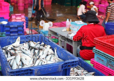 PATTANI, THAILAND -OCTOBER 7:pattani fish market,main business is fishering industry.OCTOBER 7, 2015 pattani, THAILAND