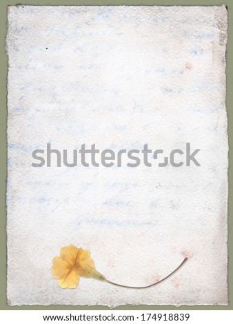 Vintage paper and flower from herbarium