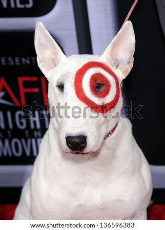 LOS ANGELES - APR 24:  Target Dog arrives to the AFI Night At The Movies 2013  on April 24, 2013 in Hollywood, CA