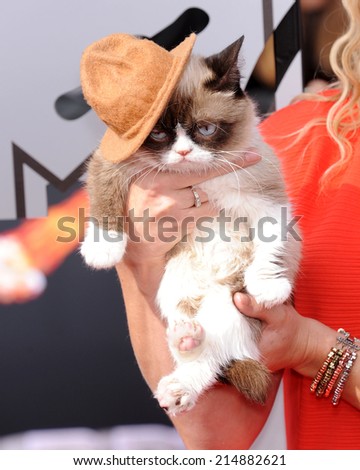 LOS ANGELES - APR 13:  Grumpy Cat arrives to the 2014 MTV Movie Awards  on April 13, 2014 in Los Angeles, CA.