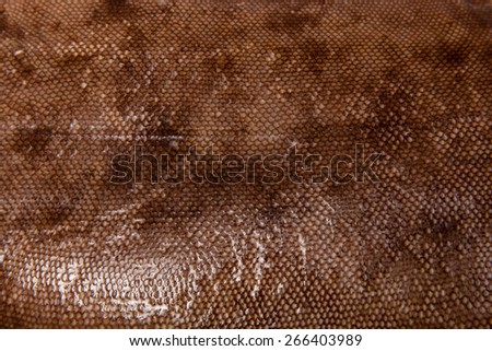 Dover sole (Solea solea) fish skin detail shot.