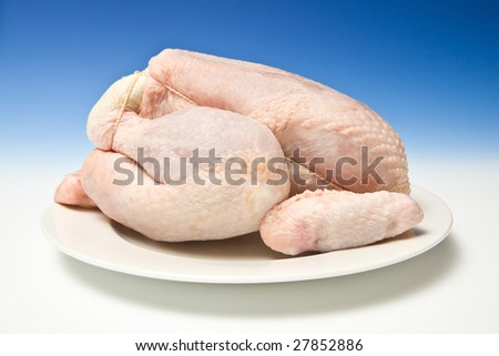 Whole raw chicken with a graduated blue studio background.