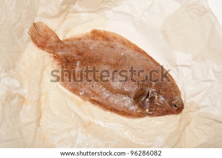 Lemon sole fish