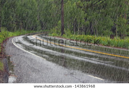 Landscape with wet road and summer forest in rain