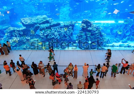 DUBAI, UAE - October 07, 2014 : Aquarium in Dubai Mall - world\'s largest shopping mall , Downtown Burj Dubai in Dubai, United Arab Emirates. People enjoying the beautiful view.