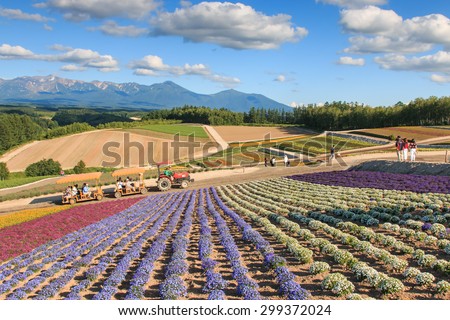 Furano, Japan - July 8,2015: Flower garden in Kamifurano, Hokkaido, with mountain view. On background  many tourists